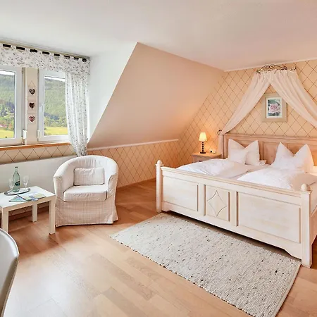 Hotel Puettmanns Dorfhotel Olpe